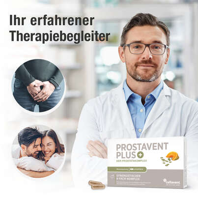 Sie sehen eine Packung Prostata Kapseln – Pflanzenkomplex aus Kürbiskern, Sägepalme, Brennnessel und Granatapfel – 60 Stück, Produktbild: 02 Prostata Kapseln – Pflanzenkomplex aus Kürbiskern, Sägepalme, Brennnessel und Granatapfel – 60 Stück, A-Nr.: 5895823 - 02