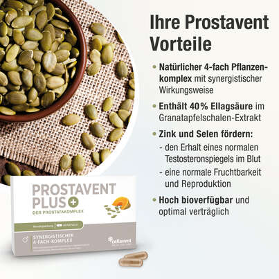 Sie sehen eine Packung Prostata Kapseln – Pflanzenkomplex aus Kürbiskern, Sägepalme, Brennnessel und Granatapfel – 60 Stück, Produktbild: 03 Prostata Kapseln – Pflanzenkomplex aus Kürbiskern, Sägepalme, Brennnessel und Granatapfel – 60 Stück, A-Nr.: 5895823 - 03