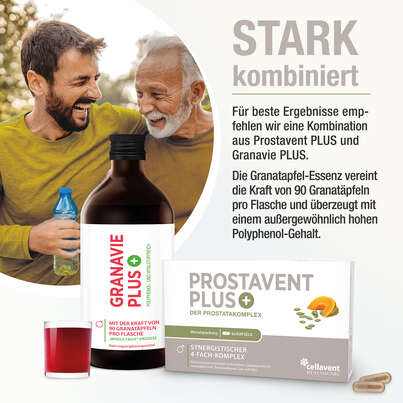 Sie sehen eine Packung Prostata Kapseln – Pflanzenkomplex aus Kürbiskern, Sägepalme, Brennnessel und Granatapfel – 60 Stück, Produktbild: 04 Prostata Kapseln – Pflanzenkomplex aus Kürbiskern, Sägepalme, Brennnessel und Granatapfel – 60 Stück, A-Nr.: 5895823 - 04