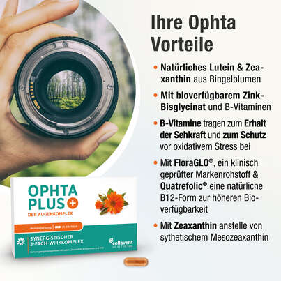 Sie sehen eine Packung Augenvitamine – Augenkomplex der Carotinoide Lutein & Zeaxanthin, B-Vitamine und Zink – 30 Kapseln, Produktbild: 03 Augenvitamine – Augenkomplex der Carotinoide Lutein & Zeaxanthin, B-Vitamine und Zink – 30 Kapseln, A-Nr.: 5895817 - 03