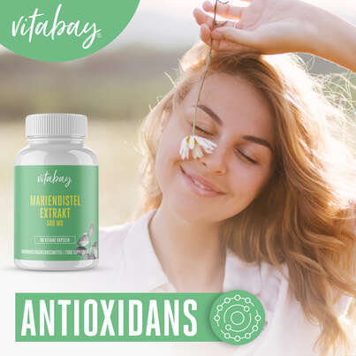 Vitabay Mariendistel Extrakt 500 mg Kapseln, A-Nr.: 5878730 - 04