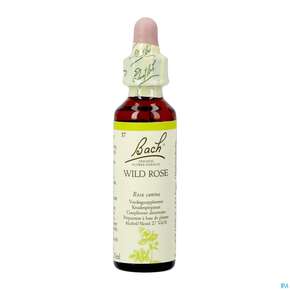 37 Wild Rose20 ml, A-Nr.: 4089103 - 01