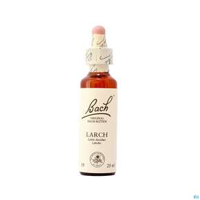 19 Larch20 ml, A-Nr.: 4088859 - 01