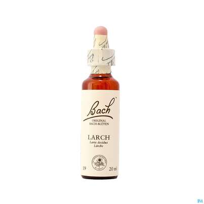 19 Larch20 ml, A-Nr.: 4088859 - 01