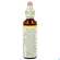 36 Wild Oat20 ml, A-Nr.: 4089095 - 04