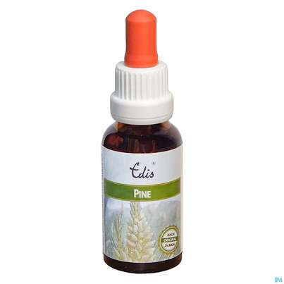 Sie sehen eine Packung Edis Bio 24 Pine Alkoholfrei 20ml, Produktbild: 01 Edis Bio 24 Pine Alkoholfrei 20ml, A-Nr.: 4107717 - 01