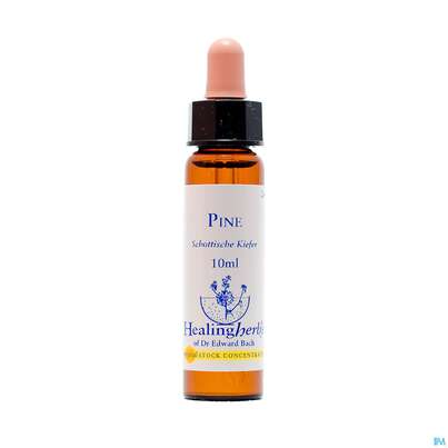 Sie sehen eine Packung Healing Herbs 24 Pine 10ml, Produktbild: 01 Healing Herbs 24 Pine 10ml, A-Nr.: 2186428 - 01
