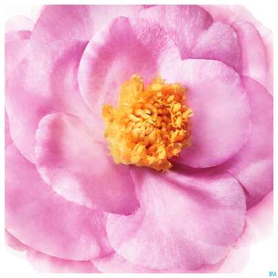 Nuxe Hair Prodigieux Intense Nourishing Leave-in Cream 100ml, A-Nr.: 5880721 - 03