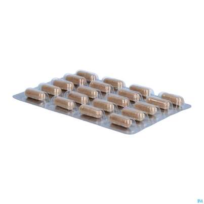 Dr.wolz Thromboflow Kapseln 60653 20st, A-Nr.: 4164810 - 06