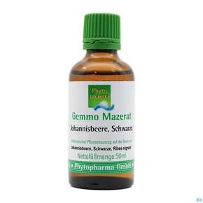 Gemmo Mazerat Johannisbeer/schwarz Ribes Nigrum Phytopharma 50ml, A-Nr.: 3107135 - 01