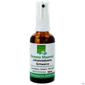 Gemmo Mazerat Johannisbeer/schwarz Ribes Nigrum/sprueh Phytopharma 50ml, A-Nr.: 3107388 - 01