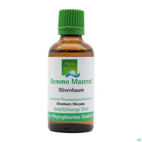 Gemmo Mazerat Olivenbaum Olea Europaea Phytopharma 50ml, A-Nr.: 3107201 - 01
