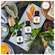 Sie sehen eine Packung Sauna Essenz Taoasis Baldini Blue Mountain 100ml, Produktbild: 04 Sauna Essenz Taoasis Baldini Blue Mountain 100ml, A-Nr.: 4891639 - 04
