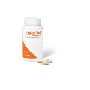 KaRaDol magensaftresistente Kapseln 120 Stk., A-Nr.: 5999994 - 01