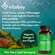 Sie sehen eine Packung Vitabay Omega 3 vegan Hochdosiert - 1.100mg - Algenöl Kapseln, Produktbild: 02 Vitabay Omega 3 vegan Hochdosiert - 1.100mg - Algenöl Kapseln, A-Nr.: 6049220 - 02