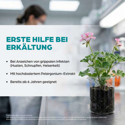 Sie sehen eine Packung Dr. Böhm Infekt grippal Pelargonium, Produktbild: 03 Dr. Böhm Infekt grippal Pelargonium, A-Nr.: 4987888 - 03