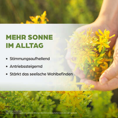 Sie sehen eine Packung Dr. Böhm Johanniskraut forte, Produktbild: 03 Dr. Böhm Johanniskraut forte, A-Nr.: 4201190 - 03