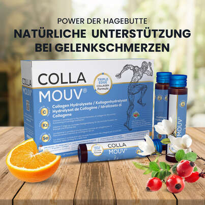 CollaMouv® Original, A-Nr.: 6118085 - 04