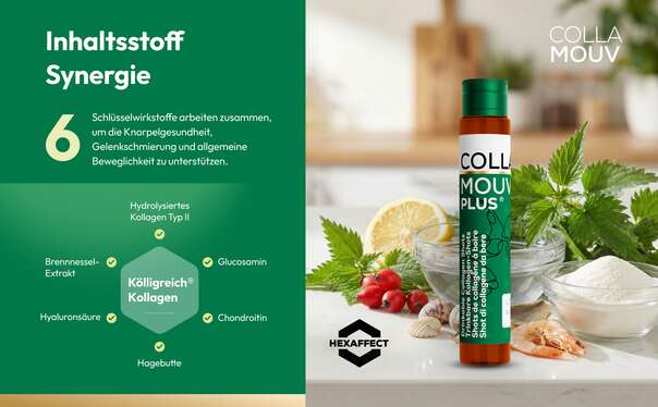 CollaMouv Plus®, A-Nr.: 6118091 - 11