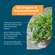 Sie sehen eine Packung NatuGena Bio-Oregano- & Schwarzkümmelöl, Produktbild: 02 NatuGena Bio-Oregano- & Schwarzkümmelöl, A-Nr.: 6139360 - 02
