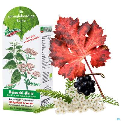 Sie sehen eine Packung Beinwohl Aktiv Kraeuterfit Elixier Bio Kraeuter Fruechte Alkoholfrei 330ml, Produktbild: 08 Beinwohl Aktiv Kraeuterfit Elixier Bio Kraeuter Fruechte Alkoholfrei 330ml, A-Nr.: 3961734 - 08