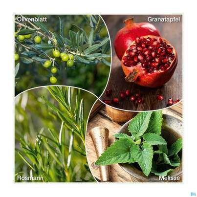 Sie sehen eine Packung Weissdorn Herz+fit Granatapfel Revital Alkoholfrei Kraeuter Fruechte 330ml, Produktbild: 08 Weissdorn Herz+fit Granatapfel Revital Alkoholfrei Kraeuter Fruechte 330ml, A-Nr.: 3725790 - 08