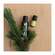 Sie sehen eine Packung Primavera Bio-pflegeoel Johanniskraut 100ml, Produktbild: 04 Primavera Bio-pflegeoel Johanniskraut 100ml, A-Nr.: 2859761 - 04