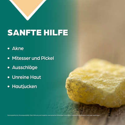 Sie sehen eine Packung Apozema® Nr. 01 Akne-Tropfen, Produktbild: 03 Apozema® Nr. 01 Akne-Tropfen, A-Nr.: 0987696 - 03