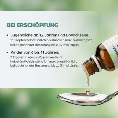 Sie sehen eine Packung Apozema® Nr. 14 Erschöpfungs-Tropfen, Produktbild: 05 Apozema® Nr. 14 Erschöpfungs-Tropfen, A-Nr.: 0987762 - 05