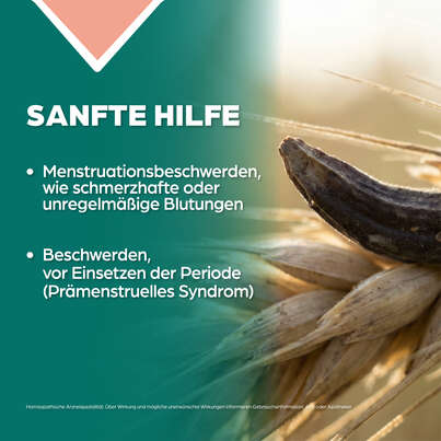 Apozema® Nr. 15 Frauen-Tropfen, A-Nr.: 0987704 - 03