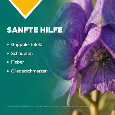 Apozema® Nr. 28 Schnupfen- und Grippe-Tropfen, A-Nr.: 0982871 - 03
