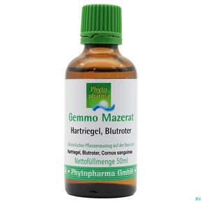 Gemmo Mazerat Hartriegel/blutrot Cornus Sanguinea Phytopharma 50ml, A-Nr.: 3107098 - 01
