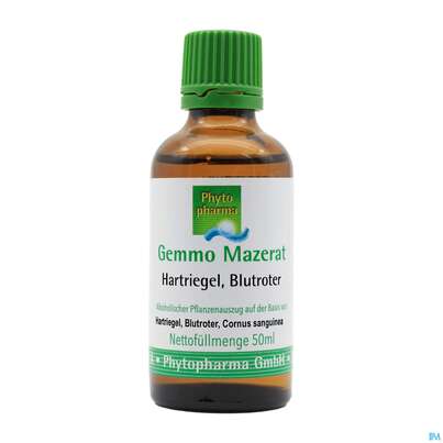 Sie sehen eine Packung Gemmo Mazerat Hartriegel/blutrot Cornus Sanguinea Phytopharma 50ml, Produktbild: 02 Gemmo Mazerat Hartriegel/blutrot Cornus Sanguinea Phytopharma 50ml, A-Nr.: 3107098 - 02