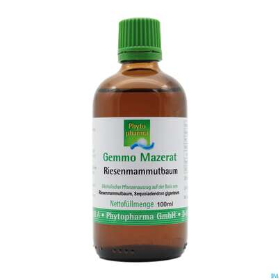 Gemmo Mazerat Riesenmammutbaum Sequoiadendron Giganteum Phytopharma 100ml, A-Nr.: 5394386 - 02
