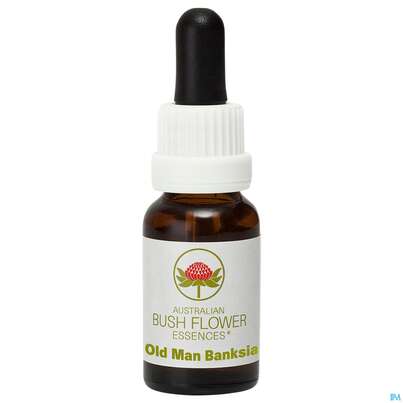 Sie sehen eine Packung Aub Old Man Banksia, Produktbild: 02 Aub Old Man Banksia, A-Nr.: 2627200 - 02