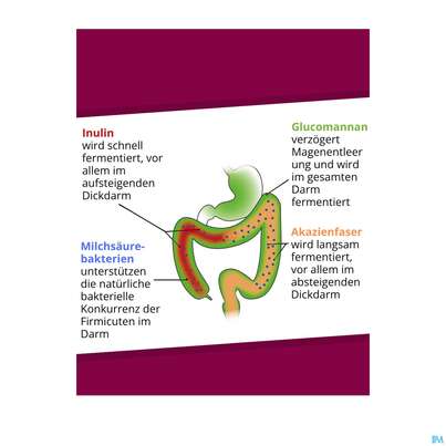 Sie sehen eine Packung Dr.wolz Probiocolon Gewichtsreduktion Nr 60540 315g, Produktbild: 05 Dr.wolz Probiocolon Gewichtsreduktion Nr 60540 315g, A-Nr.: 4741779 - 05