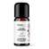 Sie sehen eine Packung Pfefferminz Öl 10 ml, Produktbild: 01 Pfefferminz Öl 10 ml, A-Nr.: 4318822 - 01