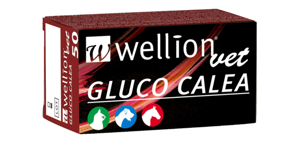 Sie sehen eine Packung WELLVET715 WellionVet GLUCO CALEA Blutzuckerteststreifen, 50 Stück, Produktbild: 01 WELLVET715 WellionVet GLUCO CALEA Blutzuckerteststreifen, 50 Stück, A-Nr.: 4063374 - 01