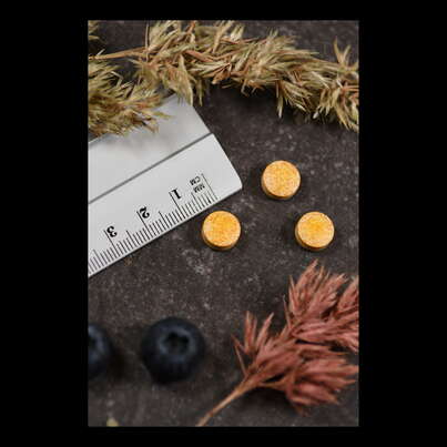 Sie sehen eine Packung Supplementa Vitamin B2 Riboflavin 100 mg Tabletten, Produktbild: 04 Supplementa Vitamin B2 Riboflavin 100 mg Tabletten, A-Nr.: 5396161 - 04