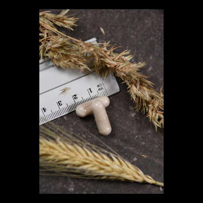 Supplementa Vitamin C 500 mg mit Hagebutte &amp; Acerola, verz. Abgabe Kapseln, A-Nr.: 5574898 - 04