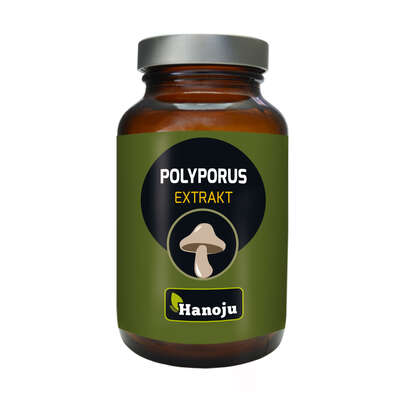Hanoju Polyporus Pilz Extrakt Tabletten 400mg, A-Nr.: 4256222 - 01