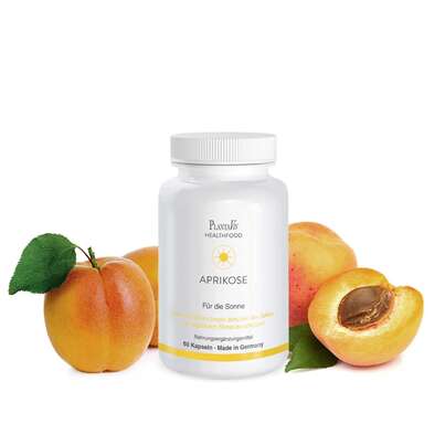 Aprikose Kapseln, A-Nr.: 4488553 - 01