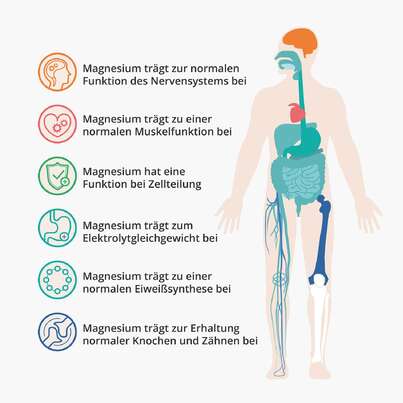 Sie sehen eine Packung Casida Magnesiumcitrat Kapseln Vital, Produktbild: 02 Casida Magnesiumcitrat Kapseln Vital, A-Nr.: 4895732 - 02