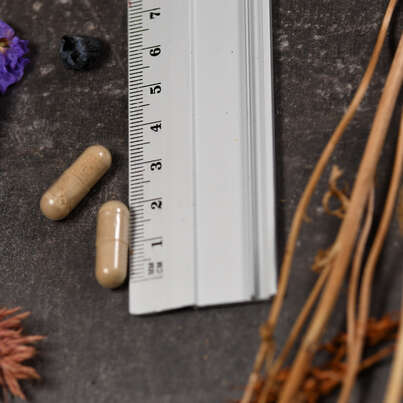 Supplementa Löwenzahn (Dandelion-Root) Kapseln, A-Nr.: 5574088 - 04