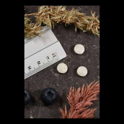 Supplementa Kelp 225mcg Jod Tabletten, A-Nr.: 5395500 - 04