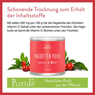Hagebutte Pulver 150g, A-Nr.: 4545357 - 03