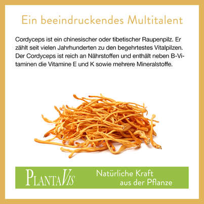 Cordyceps Pulver 350g, A-Nr.: 4546954 - 03