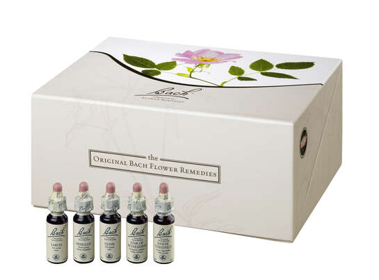 Sie sehen eine Packung Original Bach®-Blüten Set 40 x 10ml, Produktbild: 02 Original Bach®-Blüten Set 40 x 10ml, A-Nr.: 5374768 - 02