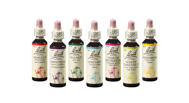 Sie sehen eine Packung Original Bach®-Blüten Set 40 x 10ml, Produktbild: 03 Original Bach®-Blüten Set 40 x 10ml, A-Nr.: 5374768 - 03