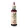 Sie sehen eine Packung Bach®-Blüte Nr. 38 Willow (Gelbe Weide), Produktbild: 03 Bach®-Blüte Nr. 38 Willow (Gelbe Weide), A-Nr.: 5323446 - 03